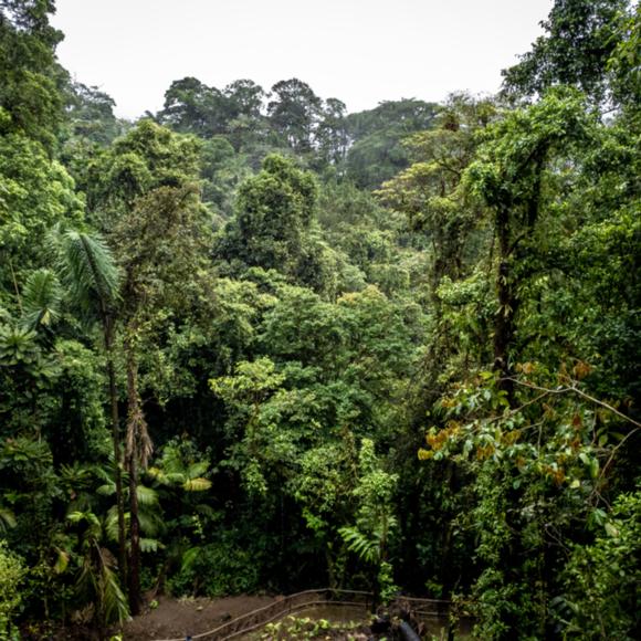 Mistico Arenal Hanging Bridges Park