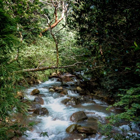 Parque Nacional Rincón de la Vieja