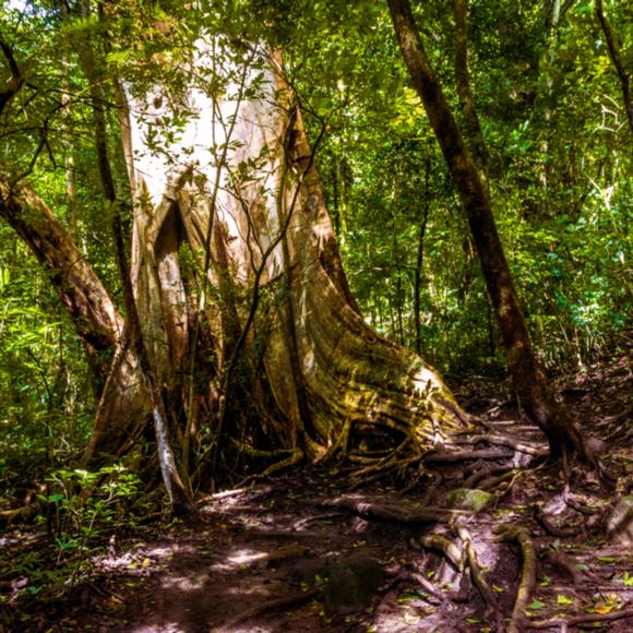 Parque Nacional Rincón de la Vieja