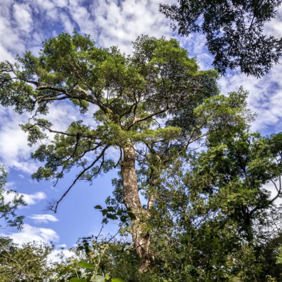 Parque Nacional Rincón de la Vieja