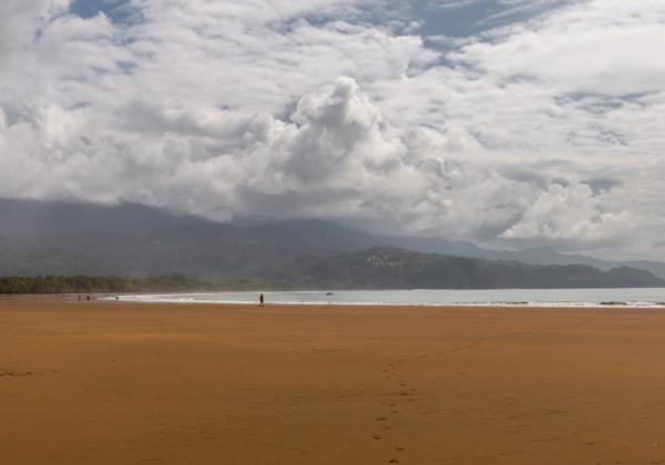 Der Strand von Uvita Der Strand von Uvita Dschungel, Strand und Meer