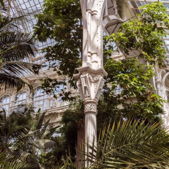 Im Palmenhaus