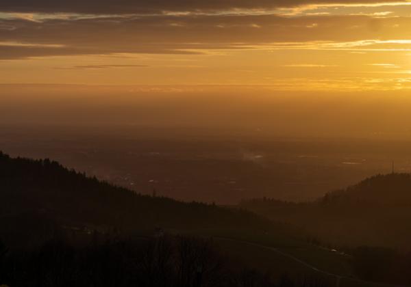 Wald und Wiese Wald und Wiese Spazierengehen für Anfänger