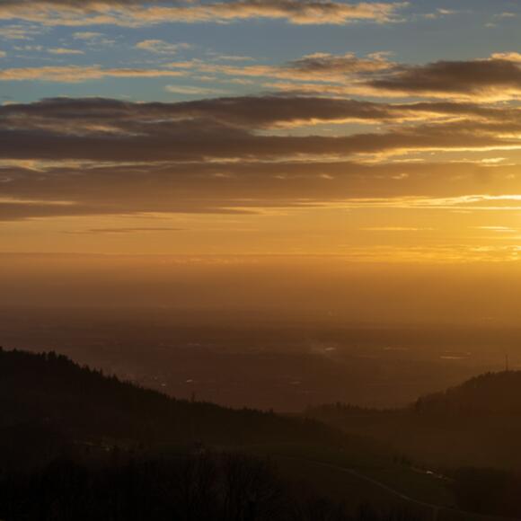 Blick auf die Rheinebene