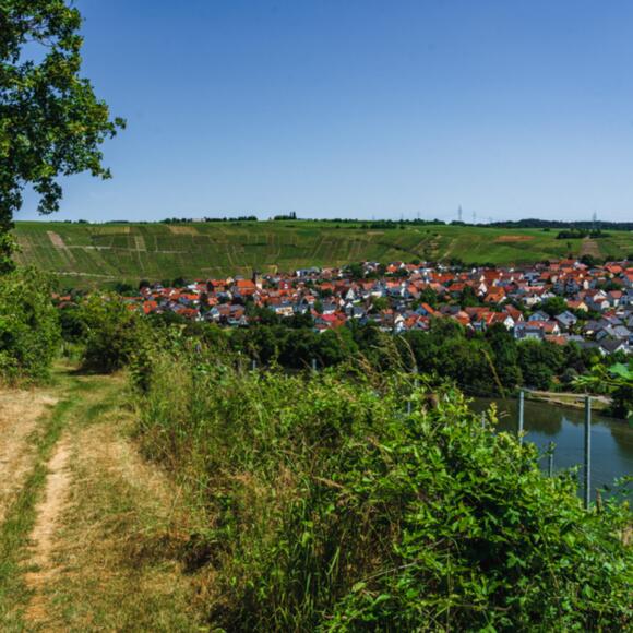 Blick über den Neckar