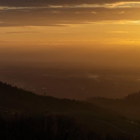 Blick auf die Rheinebene