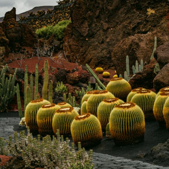 Schwiegermütterchen, setz dich doch!