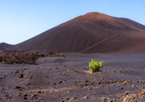 Klippen, Lorbeerwälder und Asche Klippen, Lorbeerwälder und Asche Naturerlebnisse