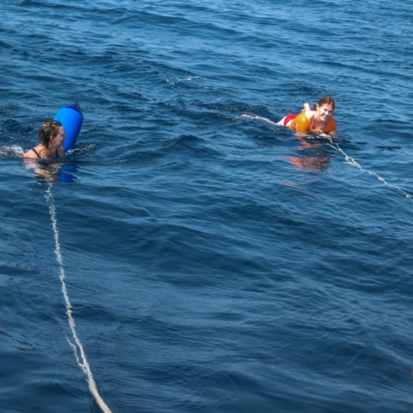 Schwimmen am Ende