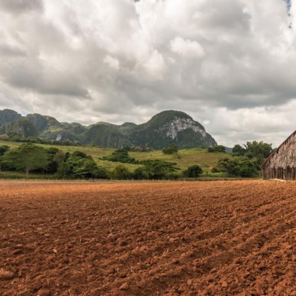 Viñales