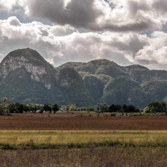 Viñales