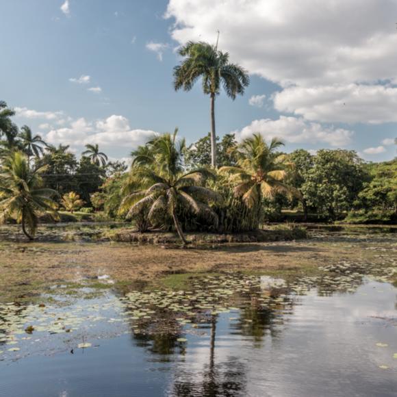 Parque Nacional de Zapata