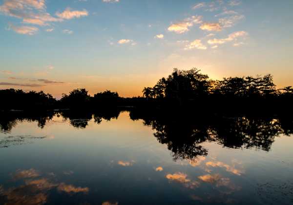 Land Land Tabak, Zuckerrohr und Sonnenuntergang