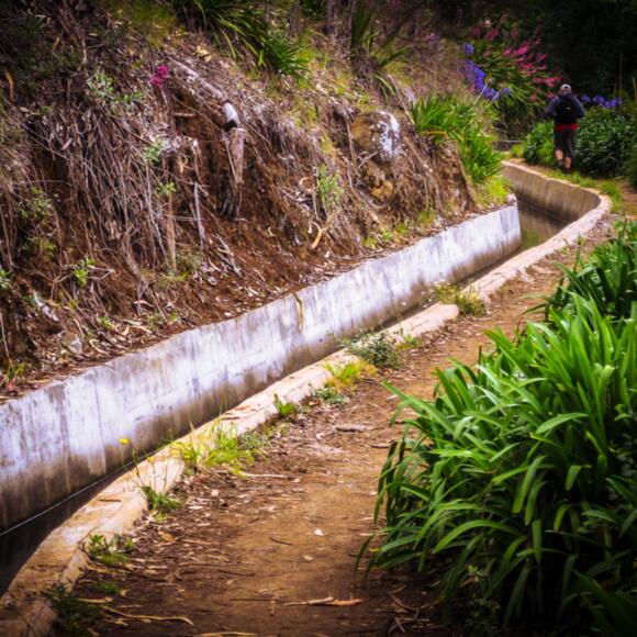 Levada de dos Tornos