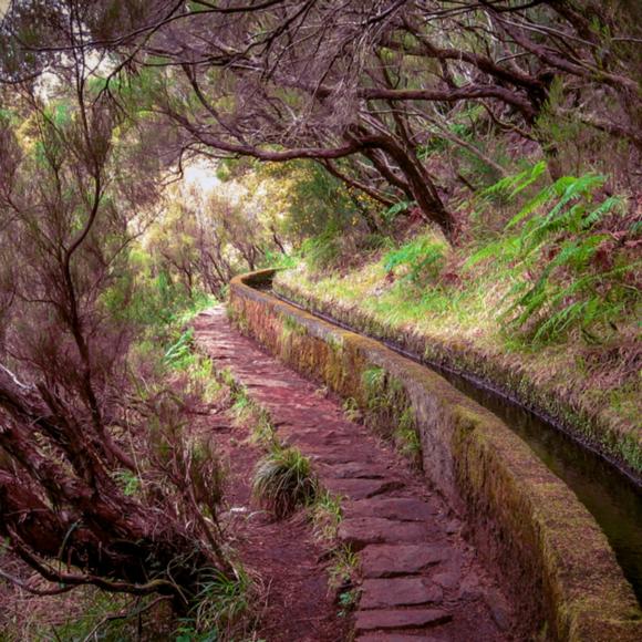 Levada do Risco
