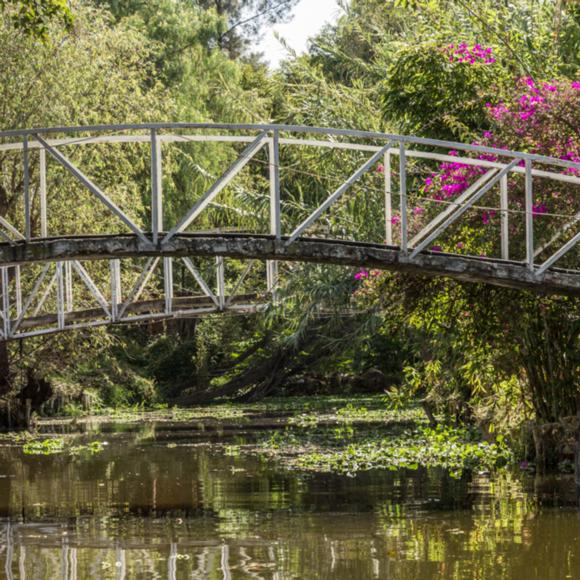 Brücke