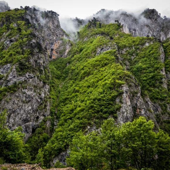 Piva Schlucht