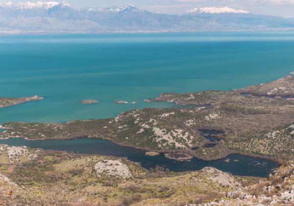 Entlang des Skutarisees Entlang des Skutarisees Türkisling