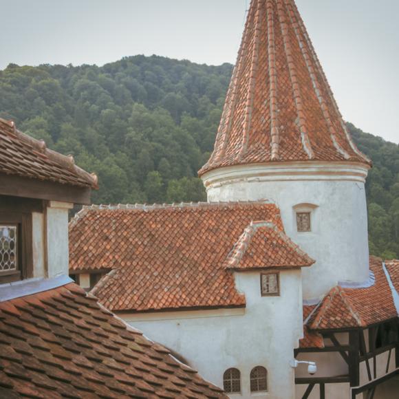 Blick aus dem Fenster