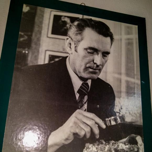 Constantin Gruiescu
