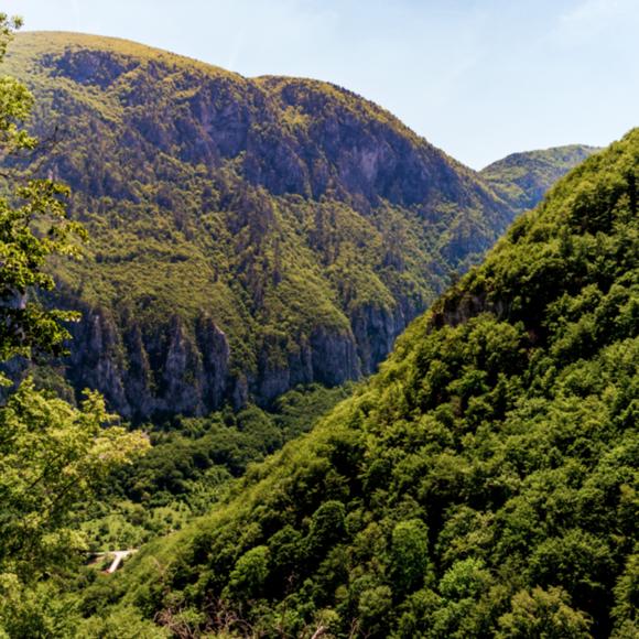 Ausblick ins Cerna-Tal