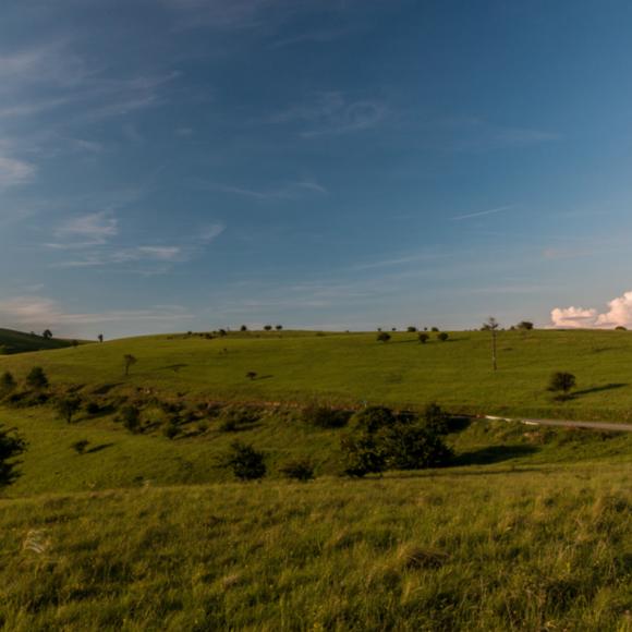 Hügellandschaft im Banat