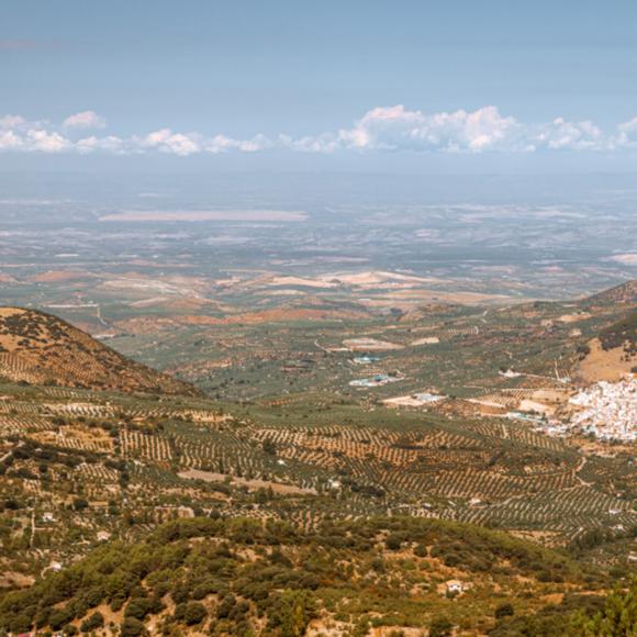 Torres und das Tal des Guadalquivir