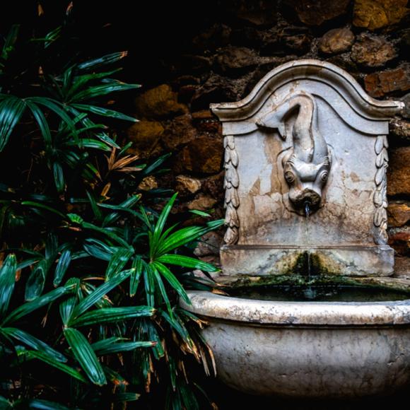 Brunnen mit Fischskultur