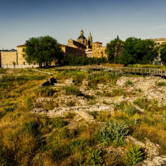 Parque Arqueológico del Botánico